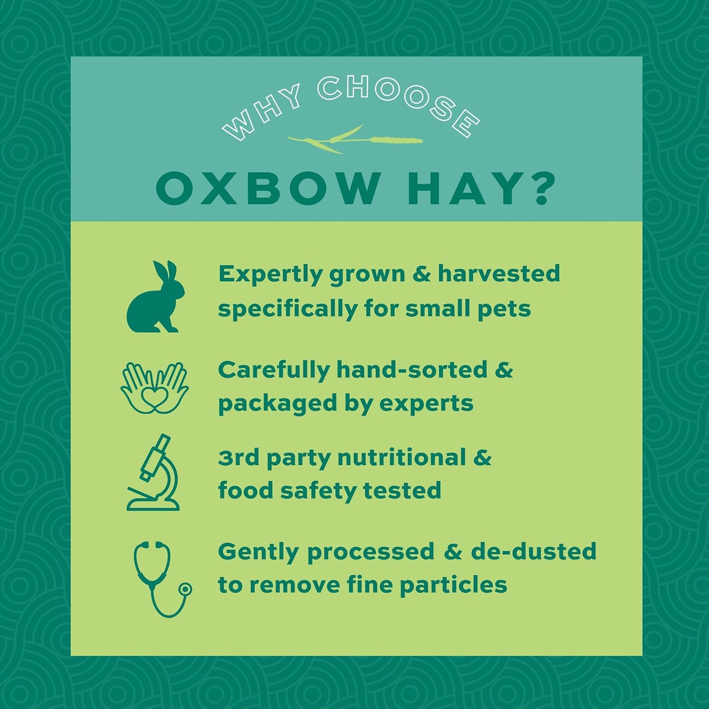 Animal Health Western Timothy Hay, Guinea Pig Hay, Small Pet Bunny Supplies, All Natural Grass for Guinea Pig, Bunny, Chinchilla & Hamster, Rabbit Supplies for Bunnies, 90 Oz. Bag