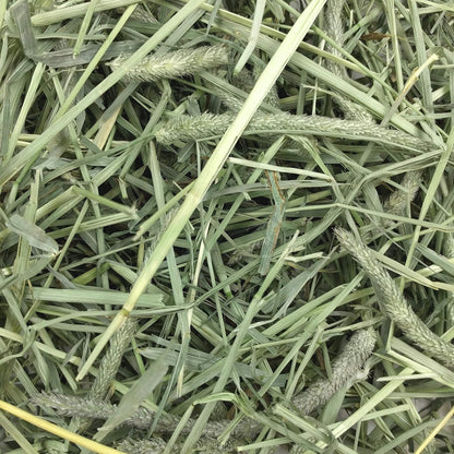 Animal Health Western Timothy Hay, Guinea Pig Hay, Small Pet Bunny Supplies, All Natural Grass for Guinea Pig, Bunny, Chinchilla & Hamster,  Rabbit Supplies for Bunnies, 90 Oz. Bag